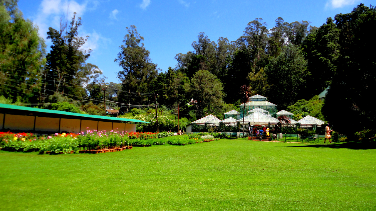 Ooty Botanical Gardens, Ooty