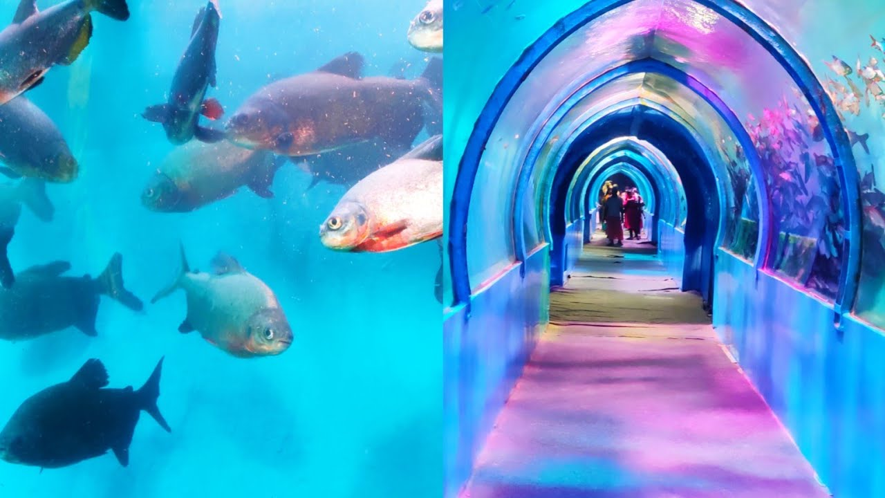 The Sea World Aquarium, Rameswaram