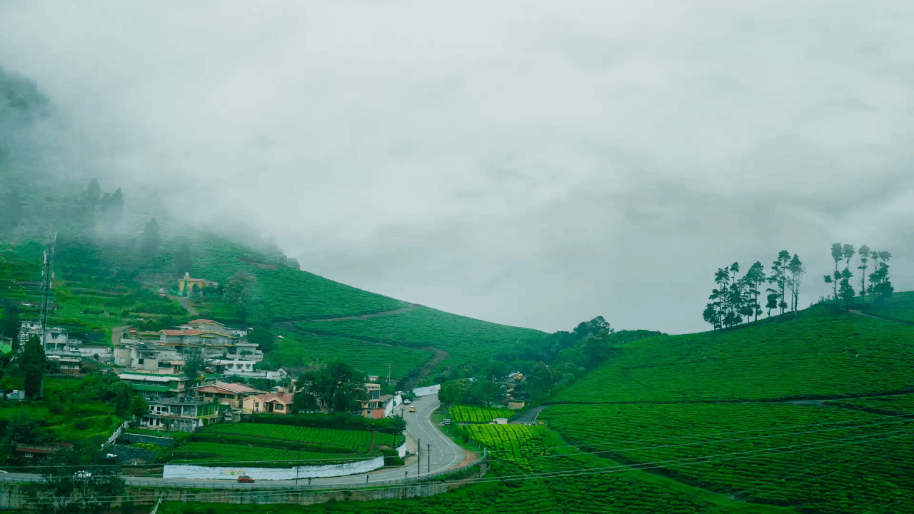 Tourist Places in Ooty: The Queen of the Nilgiris